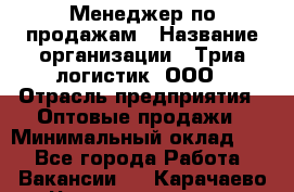 Менеджер по продажам › Название организации ­ Триа логистик, ООО › Отрасль предприятия ­ Оптовые продажи › Минимальный оклад ­ 1 - Все города Работа » Вакансии   . Карачаево-Черкесская респ.